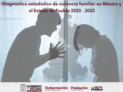 Diagn&oacute;stico estad&iacute;stico de violencia familiar en M&eacute;xico y el Estado