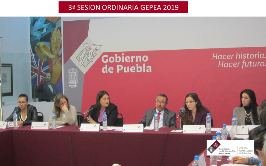 3A. Sesión ordinaria GEPEA 2019