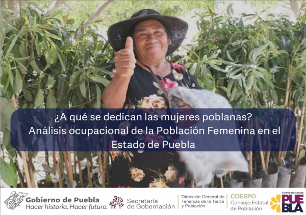 ¿A qué se dedican las mujeres poblanas?, Análisis ocupacional de la Población Femenina en el Estado de Puebla