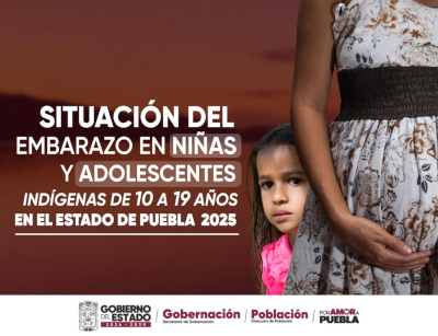 SITUACION DEL EMBARAZO EN NI&Ntilde;AS Y ADOLESCENTES INDIGENAS DE 10 A 19 A&Ntilde;OS