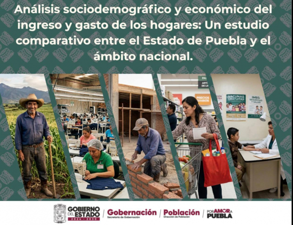 An&aacute;lisis sociodemogr&aacute;fico y econ&oacute;mico del ingreso y gasto de los hogares: Un estudio comparativo entre el Estado de Puebla y el &aacute;mbito nacional.